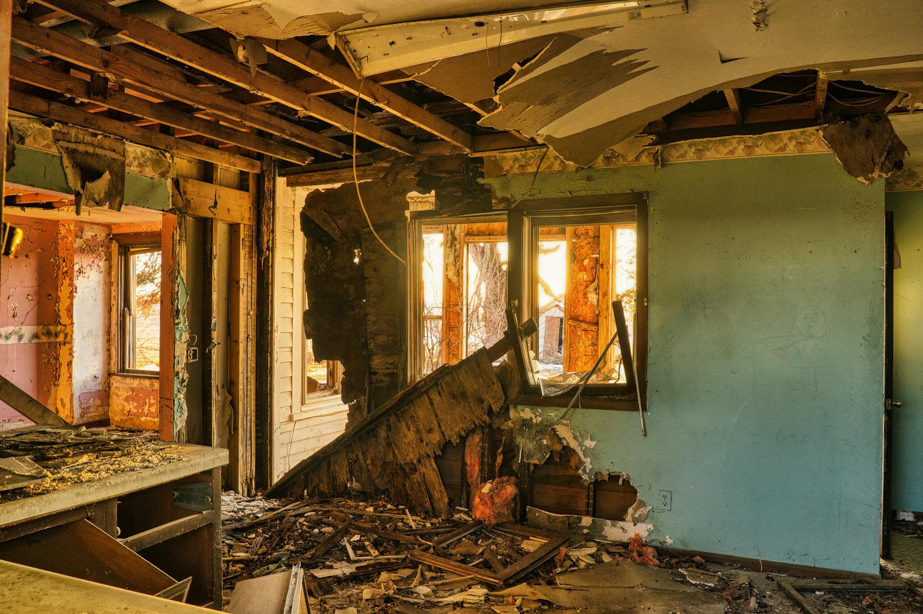 Our Journey: Dedicated to a Mold-Free Doral